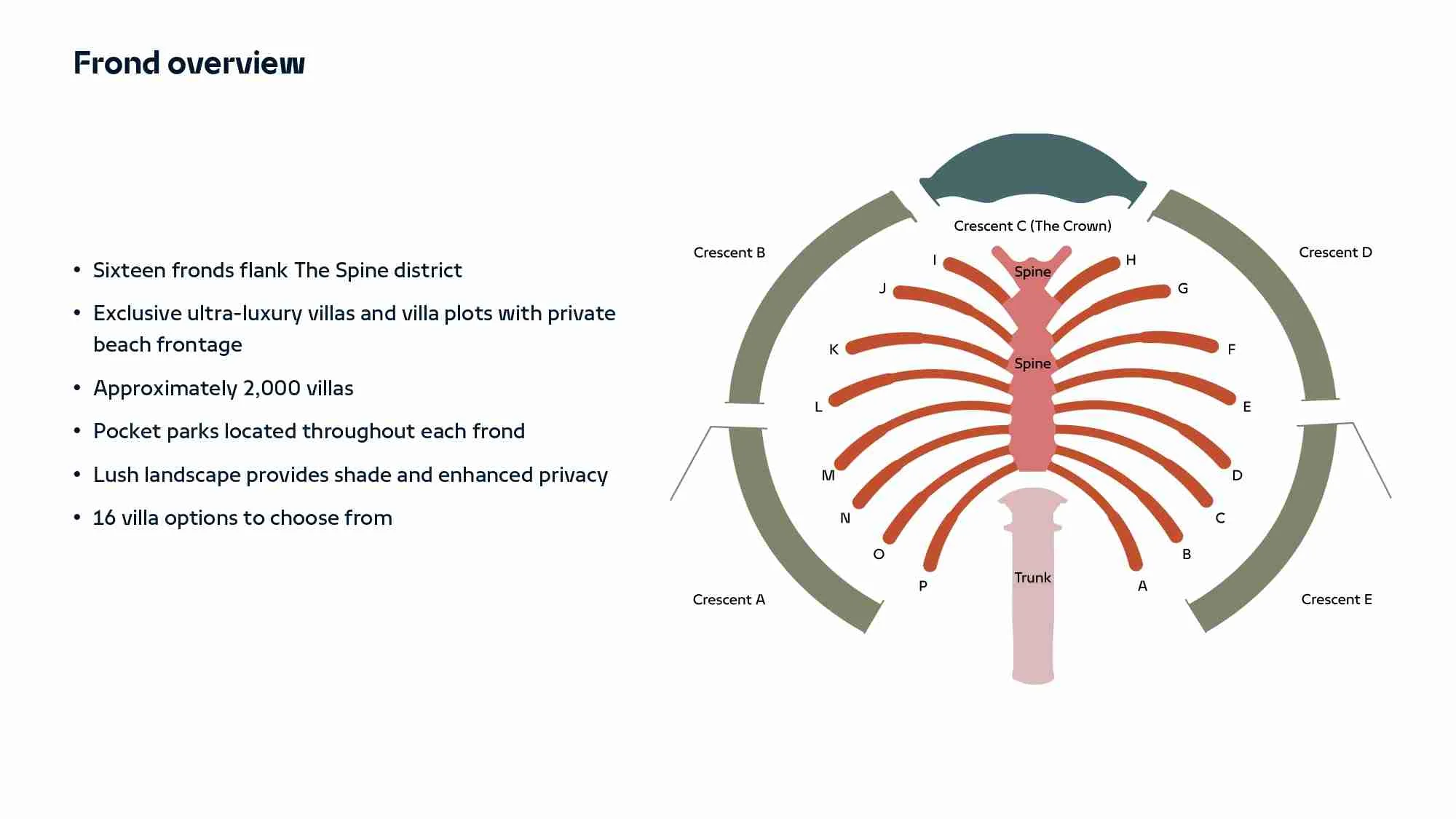 Frond Overview